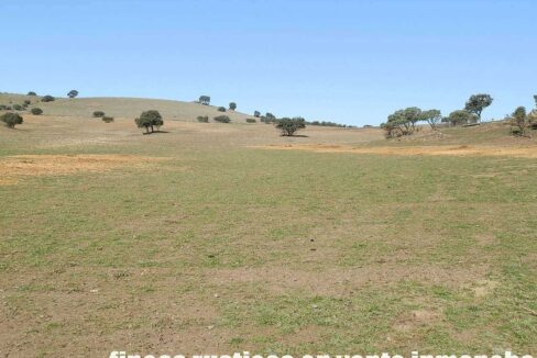 708_fincas-en-venta-014