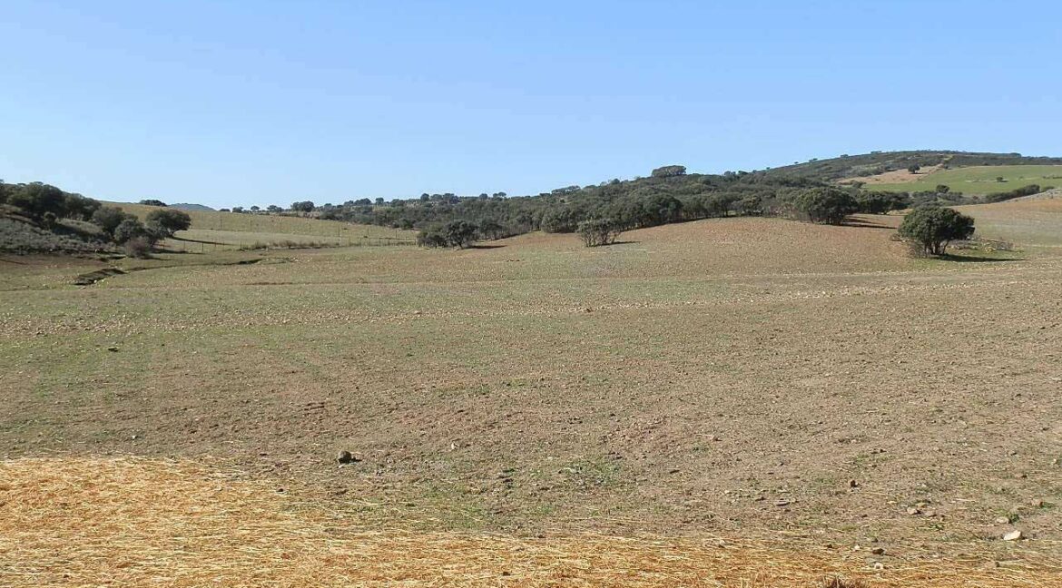 708_fincas-en-venta-015