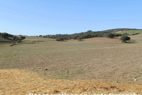 708_fincas-en-venta-015