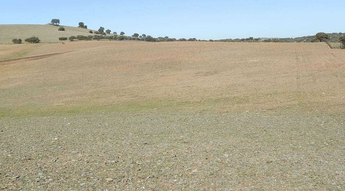 708_fincas-en-venta-016