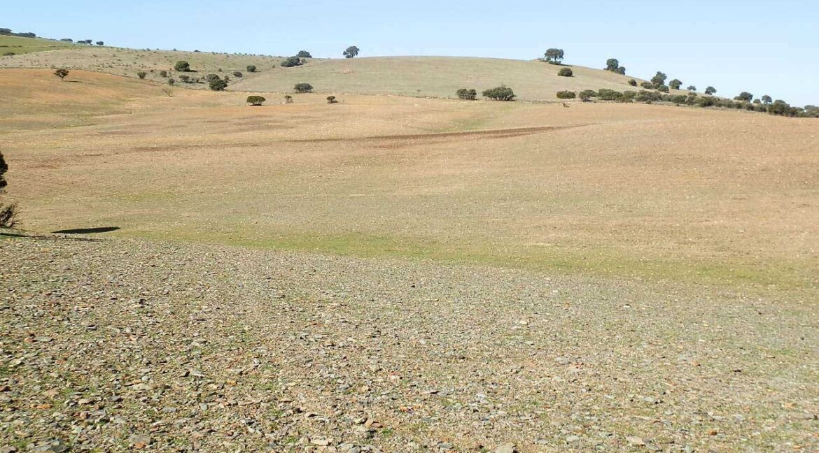 708_fincas-en-venta-017