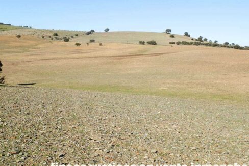 708_fincas-en-venta-017