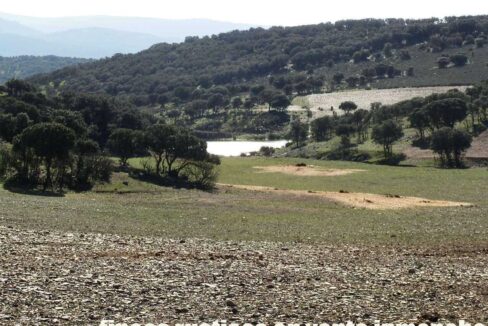 708_fincas-en-venta-018