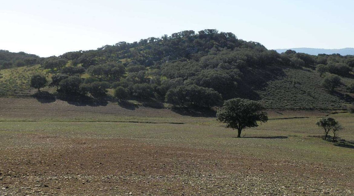708_fincas-en-venta-019
