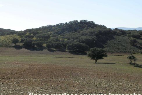 708_fincas-en-venta-019