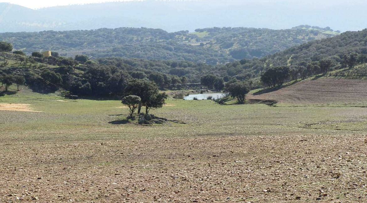 708_fincas-en-venta-020