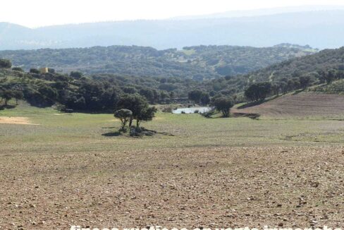 708_fincas-en-venta-020