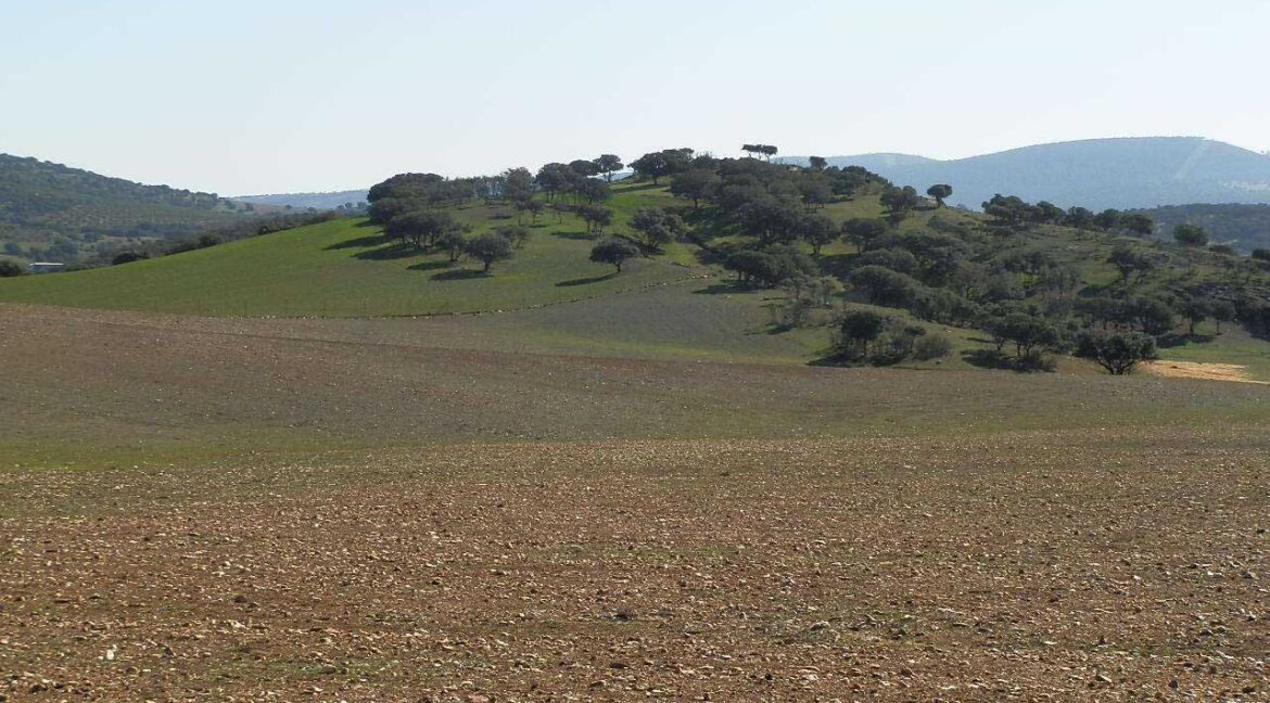 708_fincas-en-venta-021