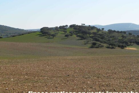 708_fincas-en-venta-021