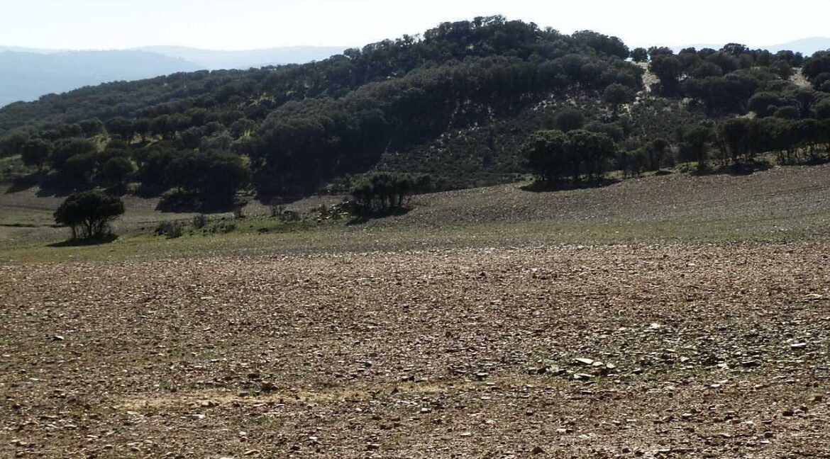 708_fincas-en-venta-023