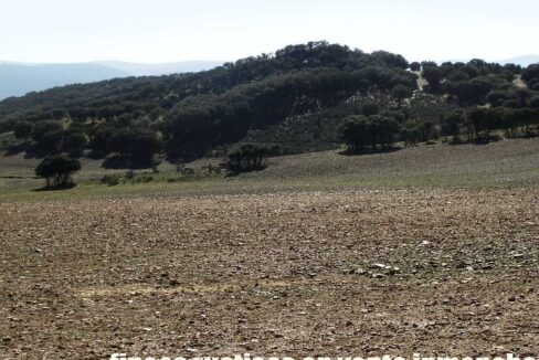 708_fincas-en-venta-023
