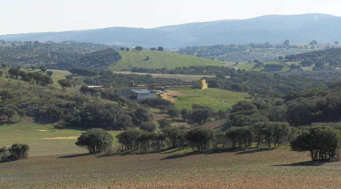 708_fincas-en-venta-024