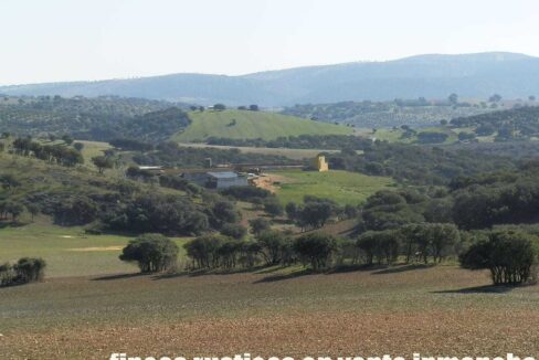708_fincas-en-venta-024