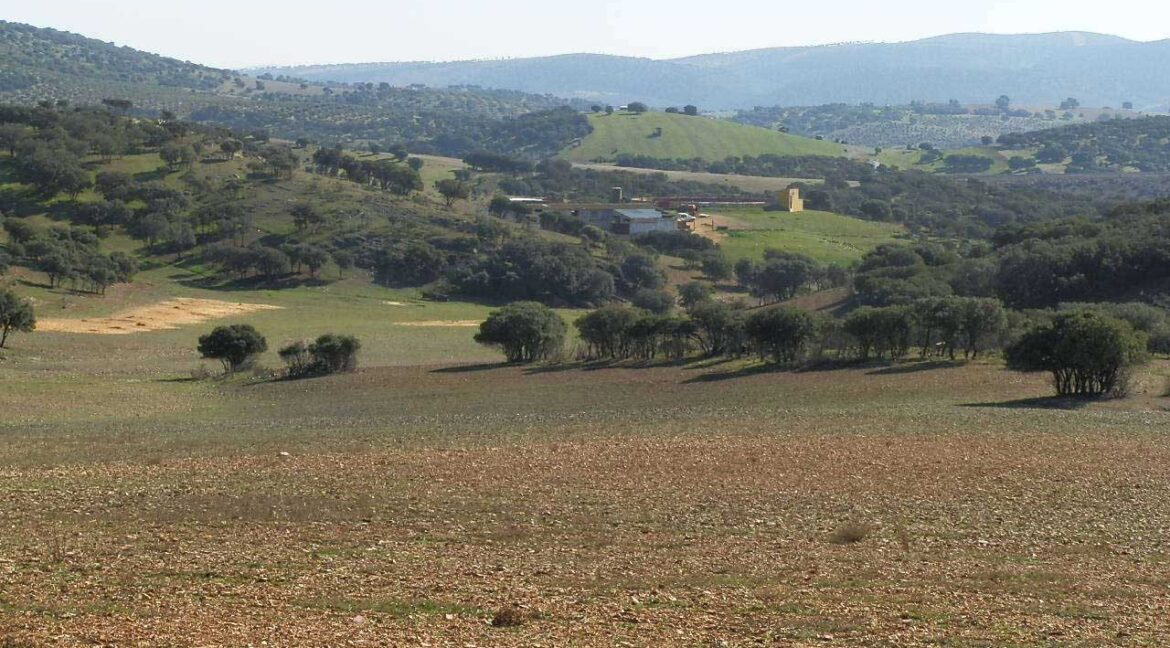 708_fincas-en-venta-025