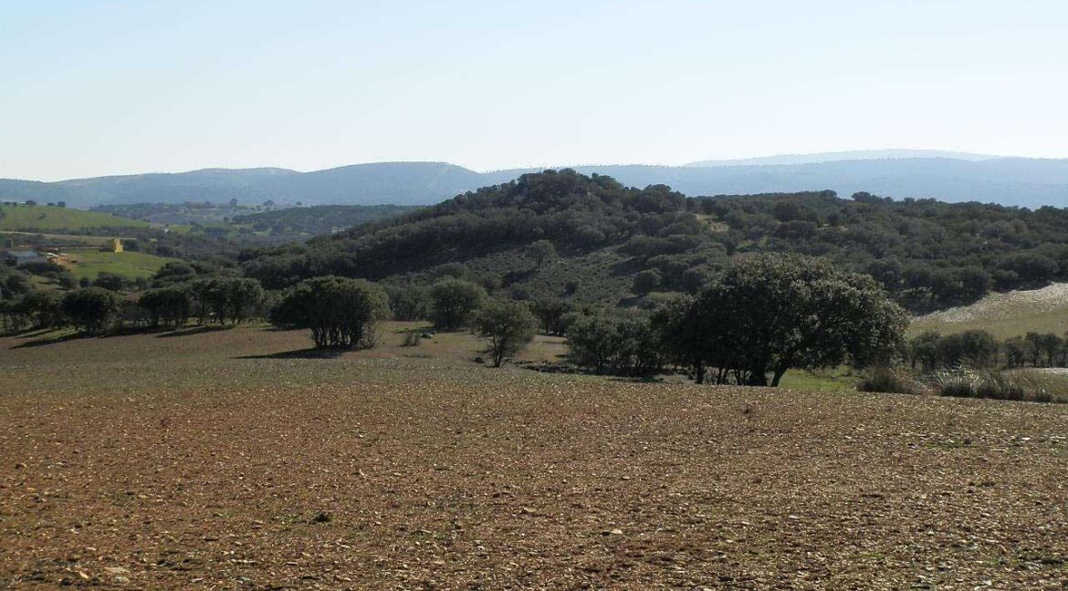 708_fincas-en-venta-026