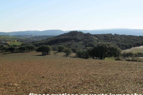 708_fincas-en-venta-026