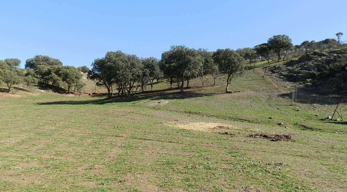 708_fincas-en-venta-027
