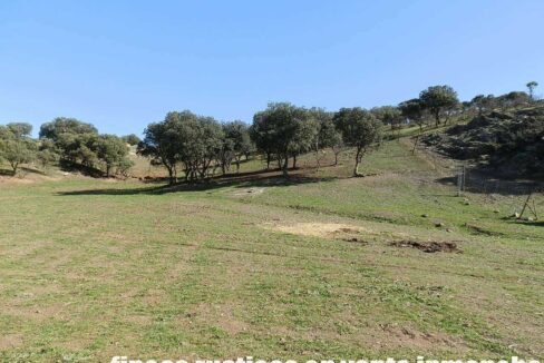 708_fincas-en-venta-027