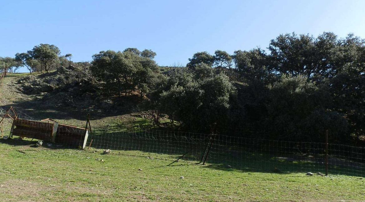 708_fincas-en-venta-029