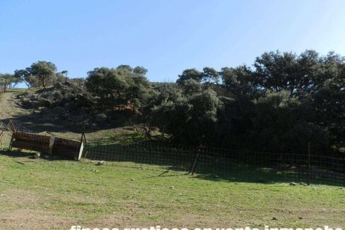 708_fincas-en-venta-029