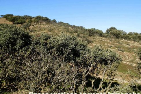 708_fincas-en-venta-031