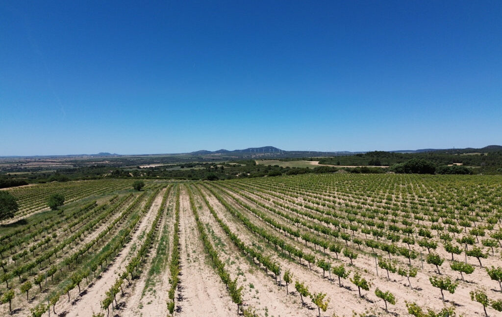 709_fincas-en-venta-10