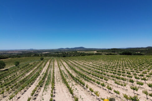 709_fincas-en-venta-10