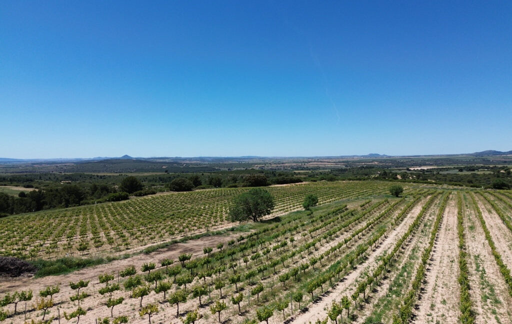 709_fincas-en-venta-11