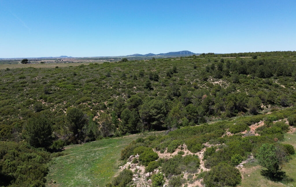 709_fincas-en-venta-12