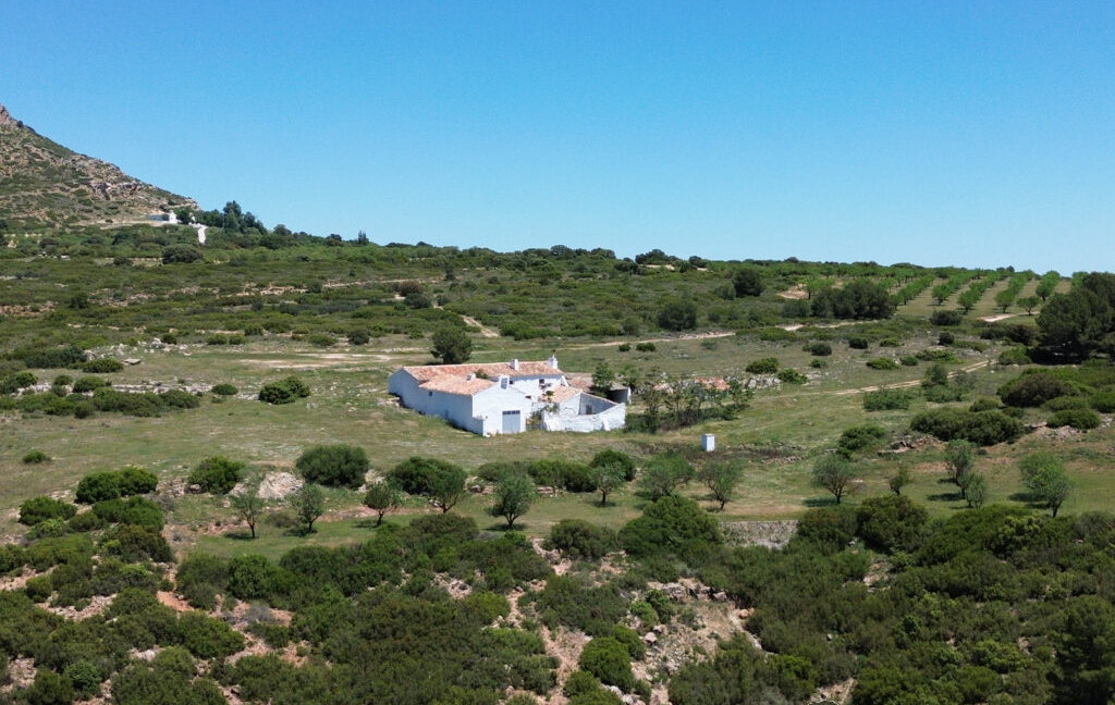 709_fincas-en-venta-13