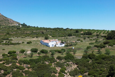 709_fincas-en-venta-13