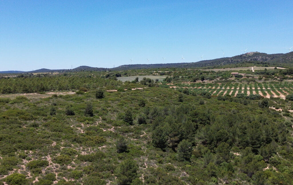 709_fincas-en-venta-14