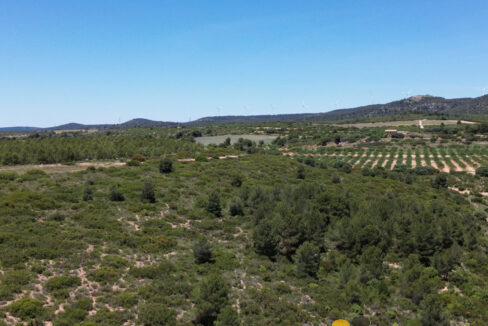 709_fincas-en-venta-14