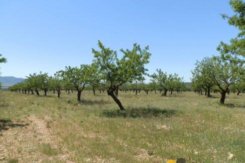 709_fincas-en-venta-24