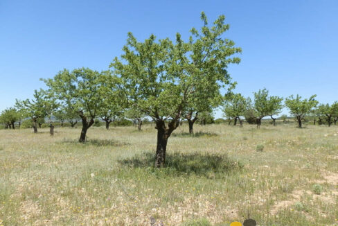 709_fincas-en-venta-26