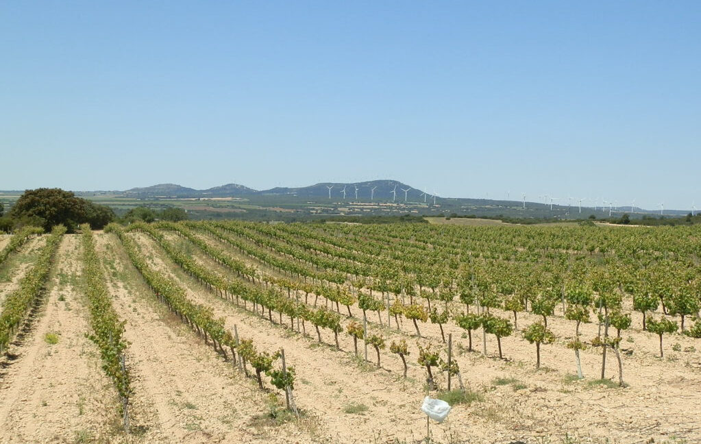 709_fincas-en-venta-27
