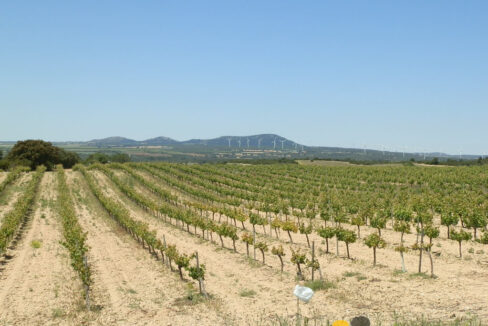 709_fincas-en-venta-27