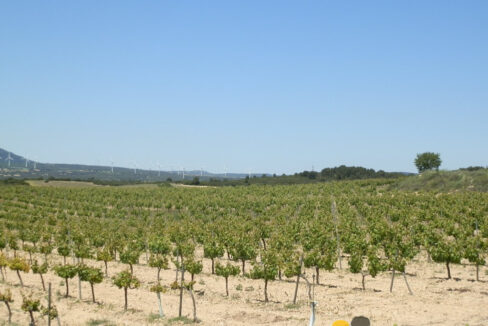 709_fincas-en-venta-28