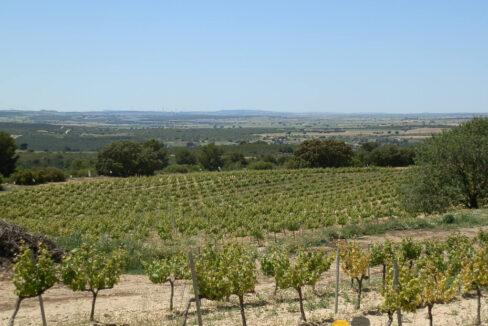 709_fincas-en-venta-29
