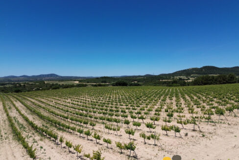 709_fincas-en-venta-9