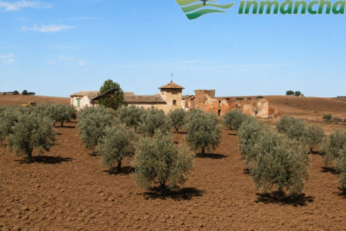 711_fincas-en-venta-1