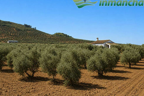 711_fincas-en-venta-10