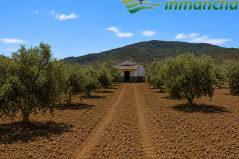 711_fincas-en-venta-11