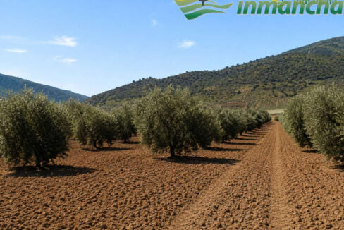 711_fincas-en-venta-2