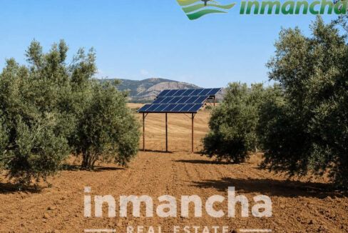 711_fincas-en-venta-3