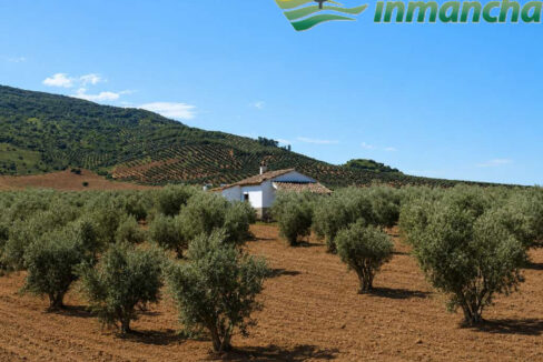 711_fincas-en-venta-4