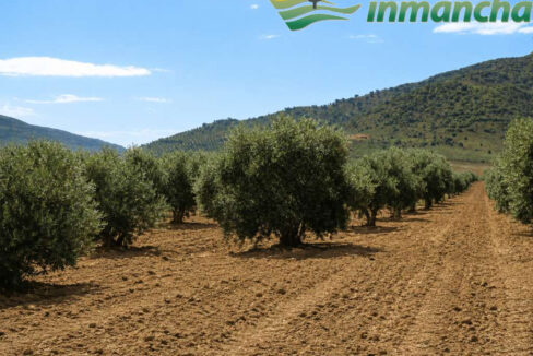 711_fincas-en-venta-5