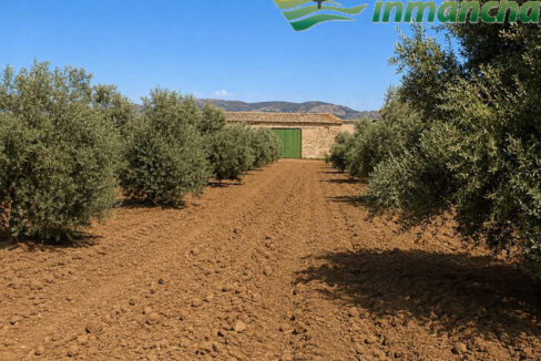 711_fincas-en-venta-7