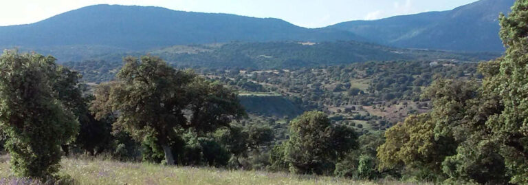FINCA EN VENTA DE 33 HAS. GANADERA-RECREO EN TOLEDO 125 KM. DE MADRID