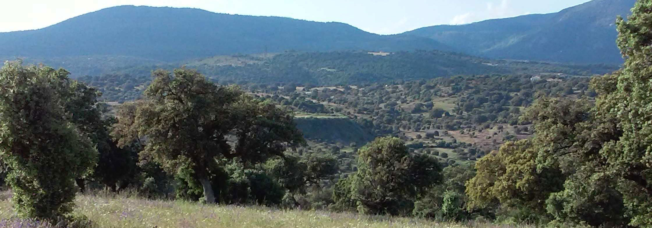 FINCA EN VENTA DE 33 HAS. GANADERA-RECREO EN TOLEDO 125 KM. DE MADRID